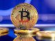 Right here Are 5 Causes To Be Bullish On Bitcoin, Analyst Says