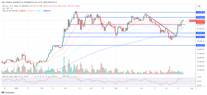 Skilled Claims Bitcoin May ‘Go Vertical With A $100,000 Candle’: Right here’s The Set off