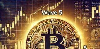 Bitcoin Enters Closing Wave 5 As World Occasions Sign Large Surge