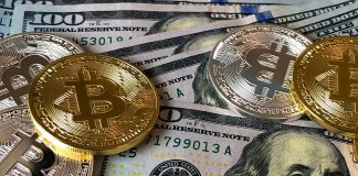 Is The US Emulating Germany? $Four Million Bitcoin Motion Raises Questions Is The US Emulating Germany? $Four Million Bitcoin Motion Raises Questions