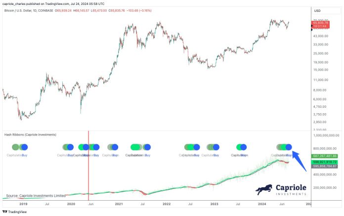 Bitcoin Value Prints Uncommon Purchase Sign With 84% Win Charge, $80,000 Coming?