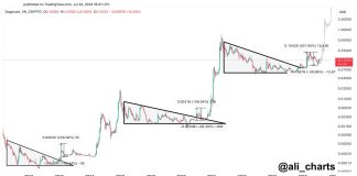 Dogecoin Set For 1,700% Rally, Echoing Previous Cycle Traits: Crypto Analyst