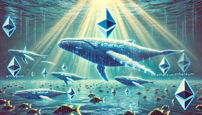 Ethereum Whales Quickly Accumulate ETH Amid Value Decline
