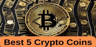 Greatest 5 Crypto Cash to Purchase in 2024 led by Artemis, Shiba, Ethereum, Cronos and Solana