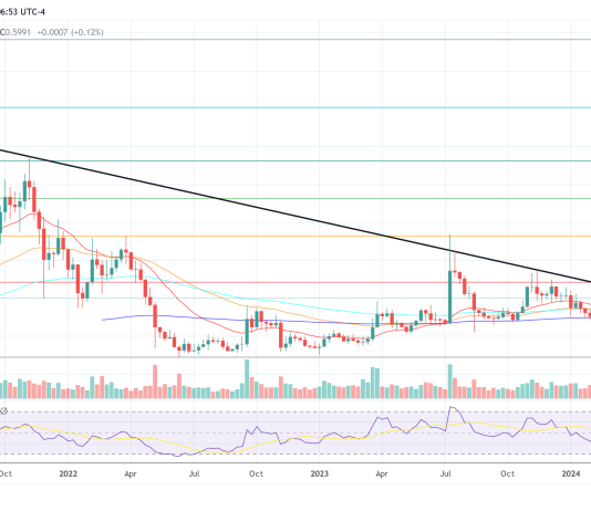 Wall Avenue Professional Sees 20x Potential In Ripple Through XRP And IPO