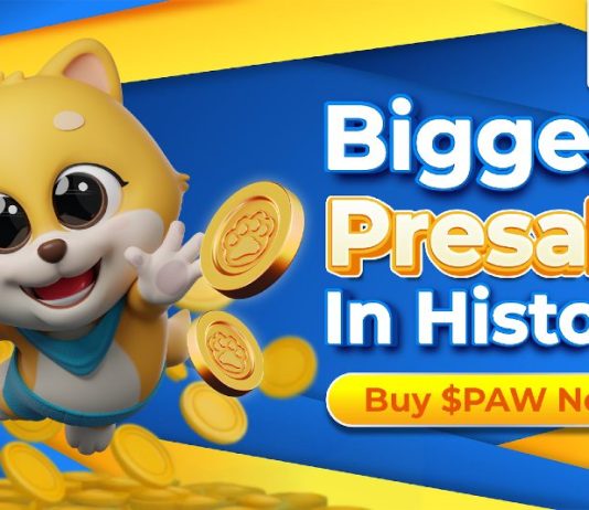 Don’t Miss Out: Shiba Inu, Dogecoin, and Pawfury Conflict within the Battle of Memecoins!