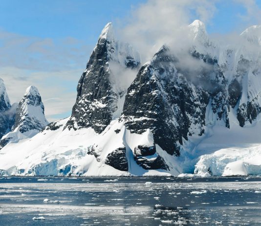 Avalanche (AVAX) Continues Freefall, Sheds 12% In Final 7 Days – Can It Recuperate?
