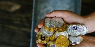 Mog Coin Worth Evaluation – Time to Purchase?