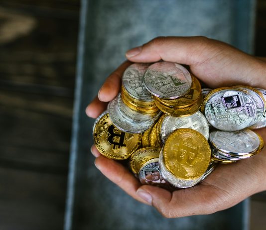 Mog Coin Worth Evaluation – Time to Purchase?