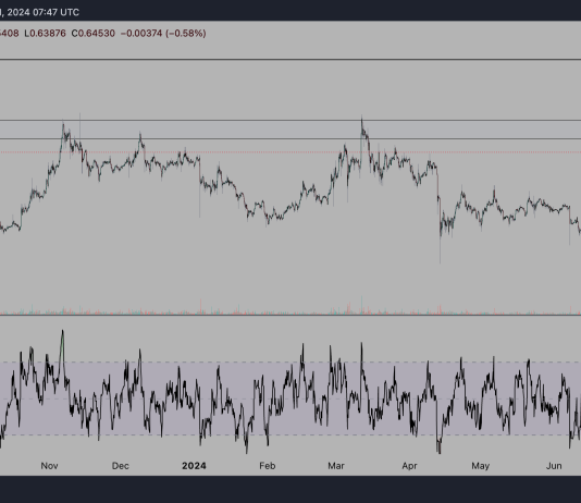 XRP Goes To All-Time Excessive If This Resistance Breaks: Crypto Analyst