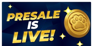 Time-Delicate Alert: High 5 Crypto Presales You Must Purchase Proper Now! Time-Delicate Alert: High 5 Crypto Presales You Must Purchase Proper Now!