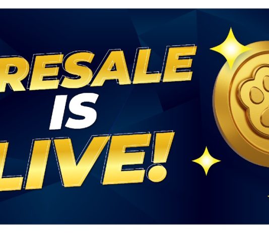Time-Delicate Alert: High 5 Crypto Presales You Must Purchase Proper Now!
