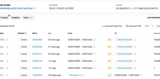 Whale Transfers $4.2 Million PEPE To Binance – Promoting Stress Forward?