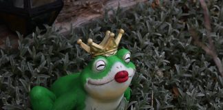 PEPE Bullish Pattern Line Below Menace: $0.00000766 Degree On Sight?