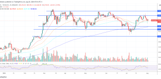 Analysis Agency Predicts Bullish Bitcoin Breakout For This autumn: four Key Causes