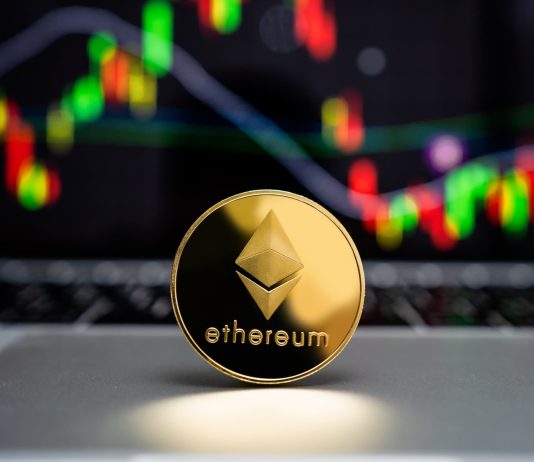 Ethereum Crash A Shopping for Alternative? This Whale Thinks So