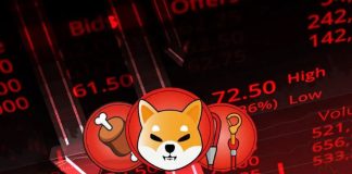 Why Is The Shiba Inu Value Crashing Right this moment? Why Is The Shiba Inu Value Crashing Right this moment?