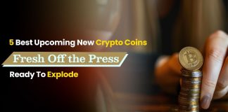 5 Finest Upcoming New Crypto Cash Able to Explode (5000x by December!)