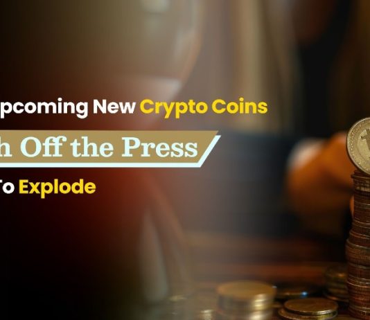 5 Finest Upcoming New Crypto Cash Able to Explode (5000x by December!)