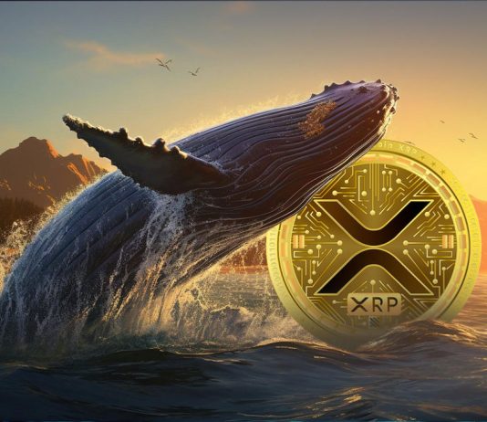 XRP Whales Take Benefit Of 20% Drop To Purchase Hundreds of thousands Price Of Tokens
