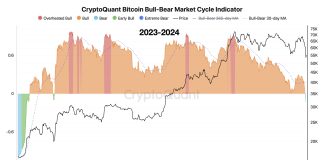 Bitcoin Bull Run Nonetheless Intact? Right here’s What On-Chain Information Says