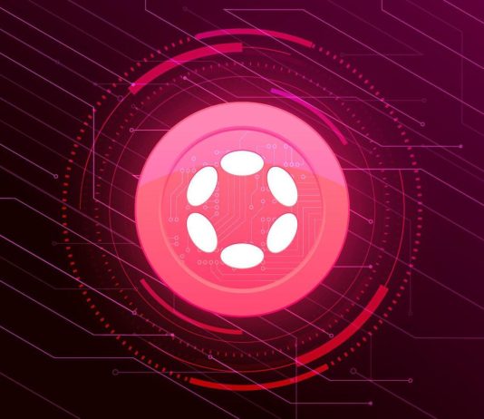 Polkadot Developments Present Energy, Regardless of Coin’s 18% Loss