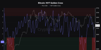 Bitcoin NVT Golden Cross Offers Backside Sign: What Occurred Final 2 Instances