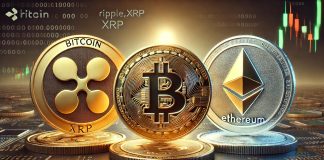 XRP Has Surpassed Bitcoin, Ethereum, And Solana Mixed In This Metric