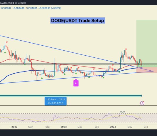 Dogecoin Value May Soar 900%: Analyst Predicts What Wants To Occur
