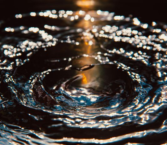XRP Worth Enters Wave 3, Crypto Analyst Places Prime At $36.76
