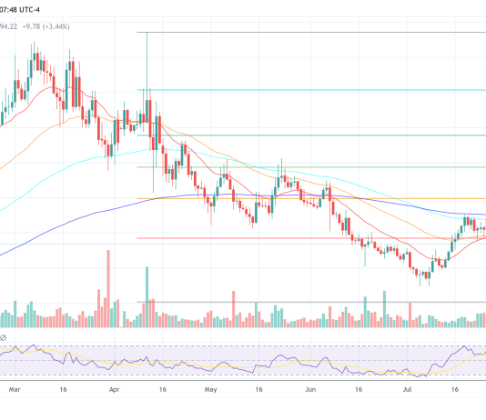 Crypto Analyst Reveals Finest Altcoins To Purchase After This Crash