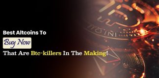 5 Greatest Altcoins to Purchase Now That Are BTC-Killers within the Making!