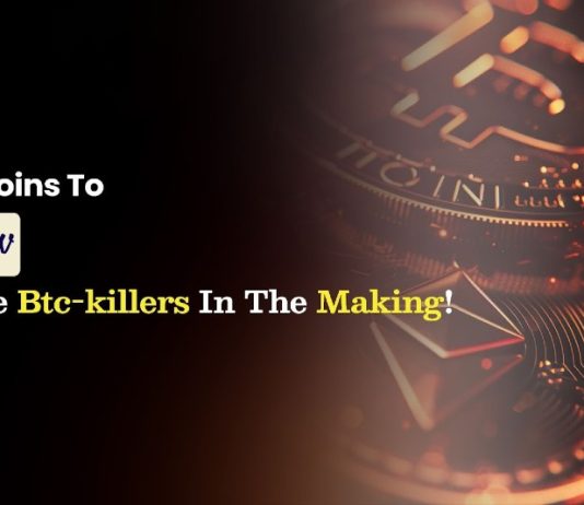 5 Greatest Altcoins to Purchase Now That Are BTC-Killers within the Making!