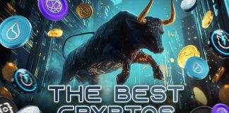 Finest Crypto to Spend money on 2024 | Evaluation of the High 10 Cryptocurrencies To Purchase Now for the Bull Run