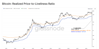 This Is The On-Chain Degree That Made The Bitcoin Crash Backside