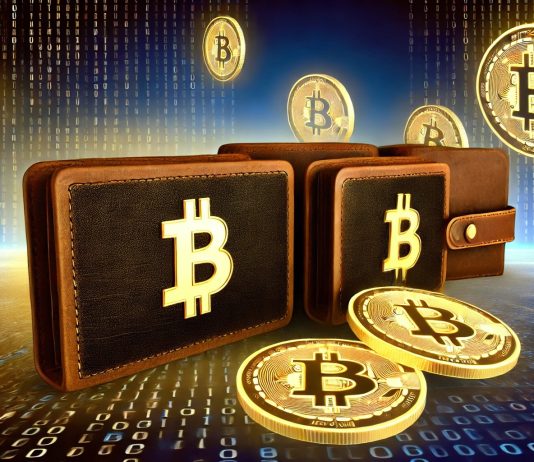 Personal Traders Kicked Out Of Prime Bitcoin Holder Listing, Right here Are The Stats Personal Traders Kicked Out Of Prime Bitcoin Holder Listing, Right here Are The Stats