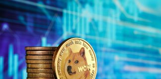 Dogecoin’s Financial Implications: Inflationary vs. Deflationary Cryptocurrencies Dogecoin’s Financial Implications: Inflationary vs. Deflationary Cryptocurrencies