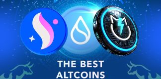 Final Record of 5 Finest Altcoins To Purchase Now for the Bull Run – What’s the Finest Altcoin to Make investments In? – JetBolt, Starknet, Injective, Sui, Celestia