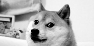 Is Dogecoin (DOGE) Headed For A 40% Slide? This Analyst Thinks So Is Dogecoin (DOGE) Headed For A 40% Slide? This Analyst Thinks So