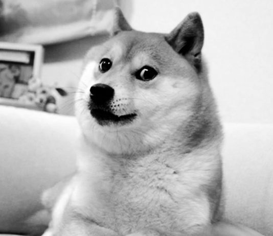 Is Dogecoin (DOGE) Headed For A 40% Slide? This Analyst Thinks So Is Dogecoin (DOGE) Headed For A 40% Slide? This Analyst Thinks So