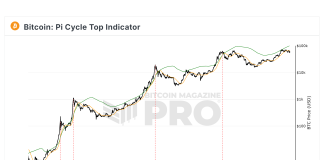 Analyst Forecasts Bitcoin Bull Run Prime With Traditionally Confirmed Indicator