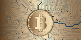 Crypto for the Atmosphere the Rise of Sustainable Blockchain Options Crypto for the Atmosphere the Rise of Sustainable Blockchain Options