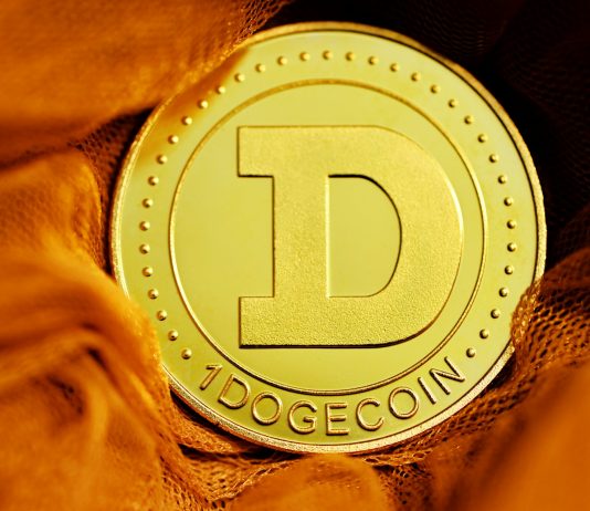 Dogecoin Soars 6.5% Following Elon Musk’s Submit, Is A Breakout Imminent?