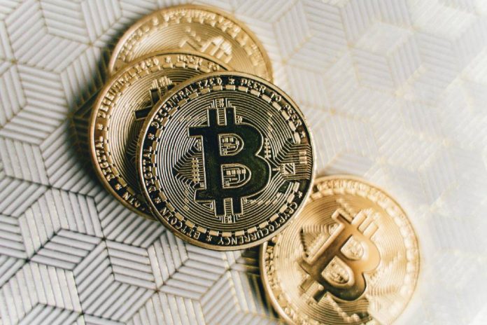 The Crypto Cash You Want To Hold An Eye On in 2024 The Crypto Cash You Want To Hold An Eye On in 2024