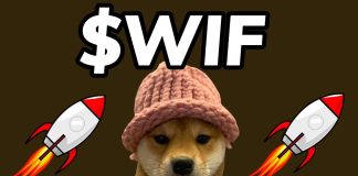 Dogwifhat (WIF) Holds Robust Above $1.5, Is A Larger Rally Imminent?