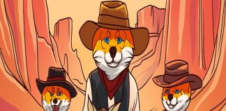 Meme Coin ICOs With Explosive Potential – 5 Tokens You Don’t Need to Miss