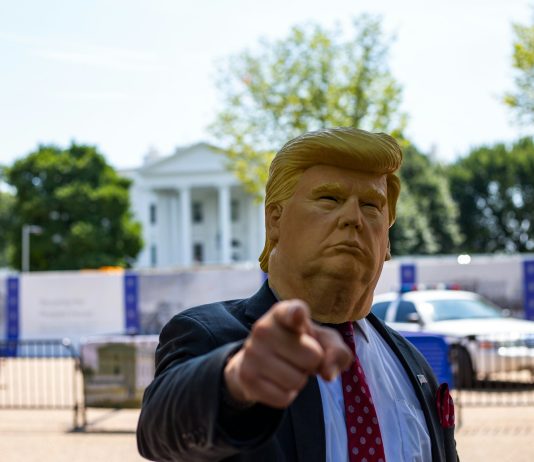 Trump-Impressed Memecoins Soar 40% Amid Rumors Of Endorsement By RFK Jr.