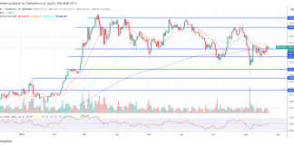 Prime Economist Predicts Bitcoin Worth Prime Earlier than Worst Recession Since 1929