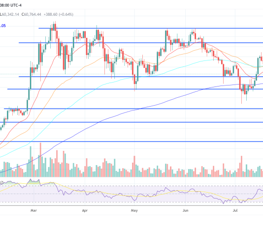 Prime Economist Predicts Bitcoin Worth Prime Earlier than Worst Recession Since 1929
