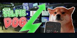 Prime Solana Meme Cash To Attain $1B Market Cap Prime Solana Meme Cash To Attain $1B Market Cap